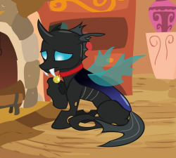 I think changelings are cute :3 - MLP Forums
