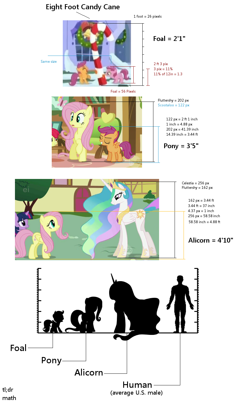 Pony height - Show Discussion - MLP Forums