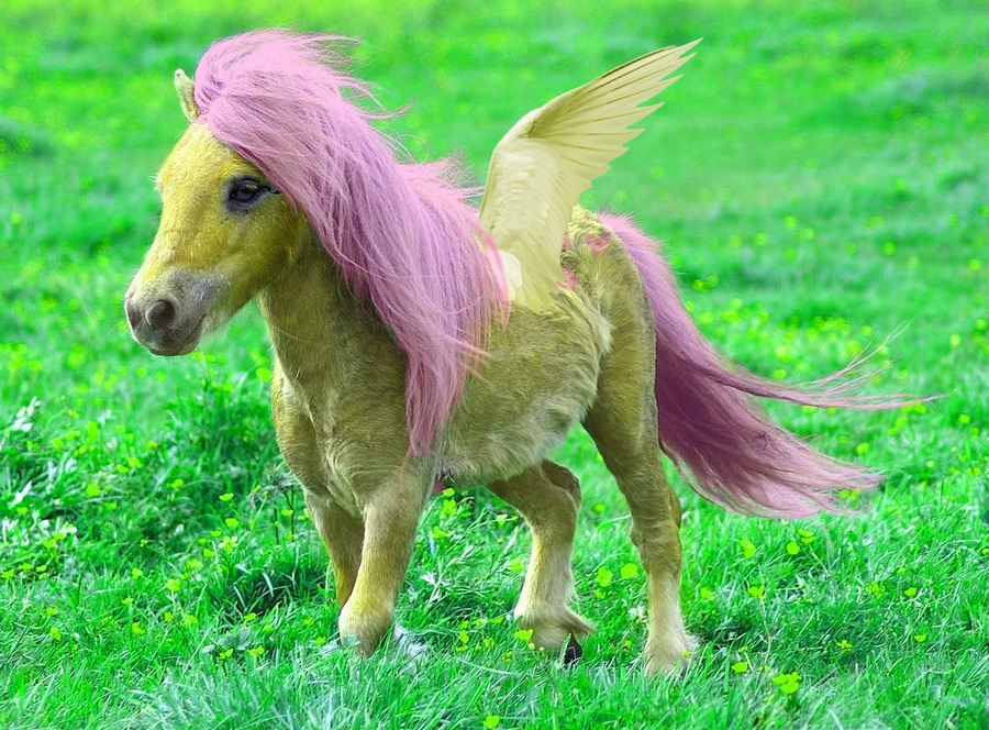 my little pony horse play