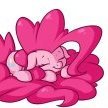 Pie Kn1ght