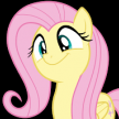 DanniTheUnicorn227