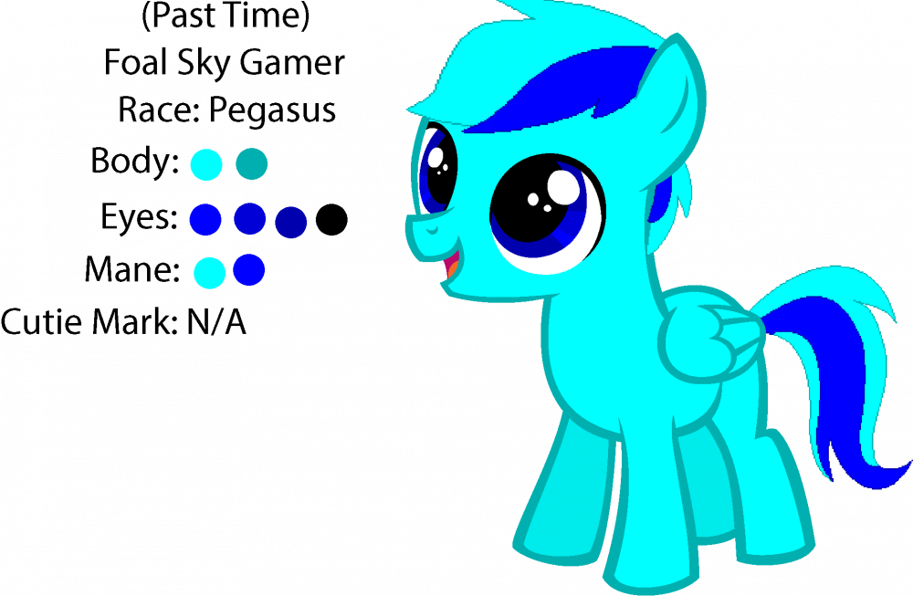 326637829_FoalSkyGamerReferenceSheet.thumb.png.5df1c5a9a5d67ef3543e85955849f23b.png
