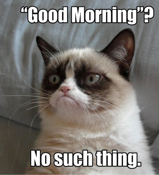 1a-grumpy-cat-art-gu8kjvrb-1good-morning