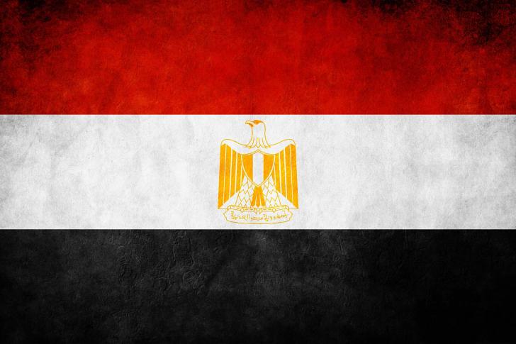 Egypt-Flag-By-Alamir-485x728.jpg