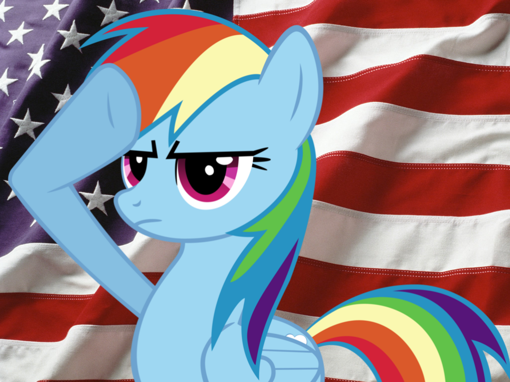rainbow_dash_salutes_american_soldjers_b