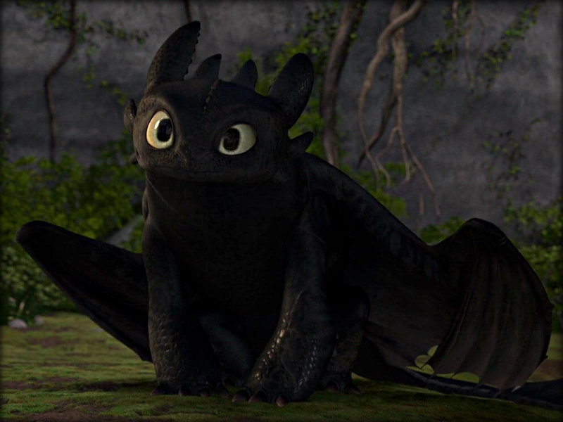 img-1259863-1--Toothless-toothless-the-d