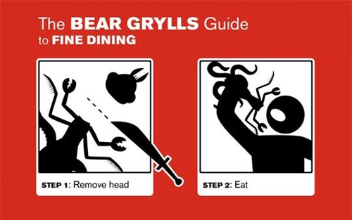 img-1309522-1-Bear-Grylls-Guide-to-fine-