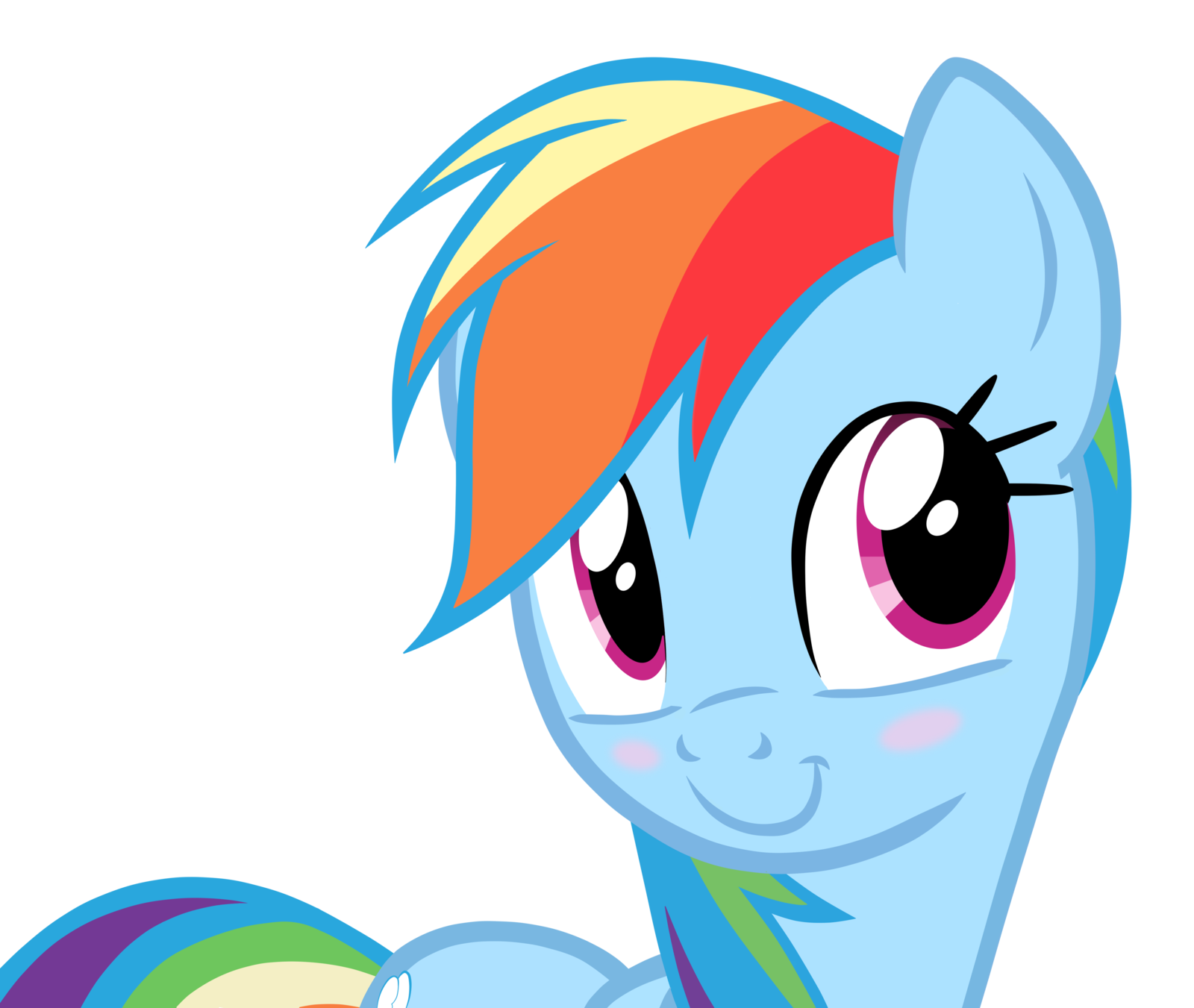 rainbow_dash_giant_face_by_translayer-d4