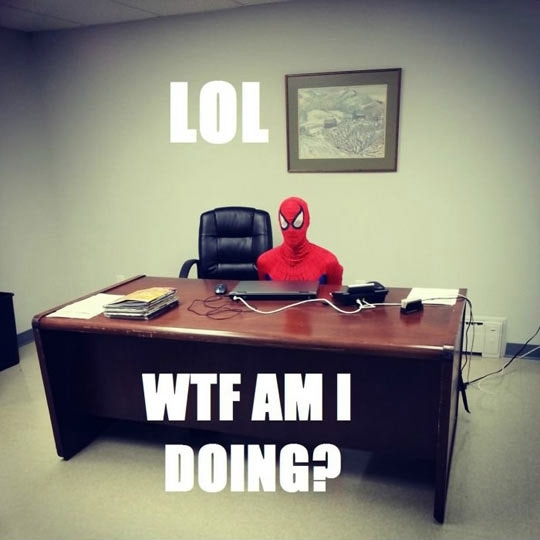 1559_spiderman-lol-what-the-fuck-am-i-do