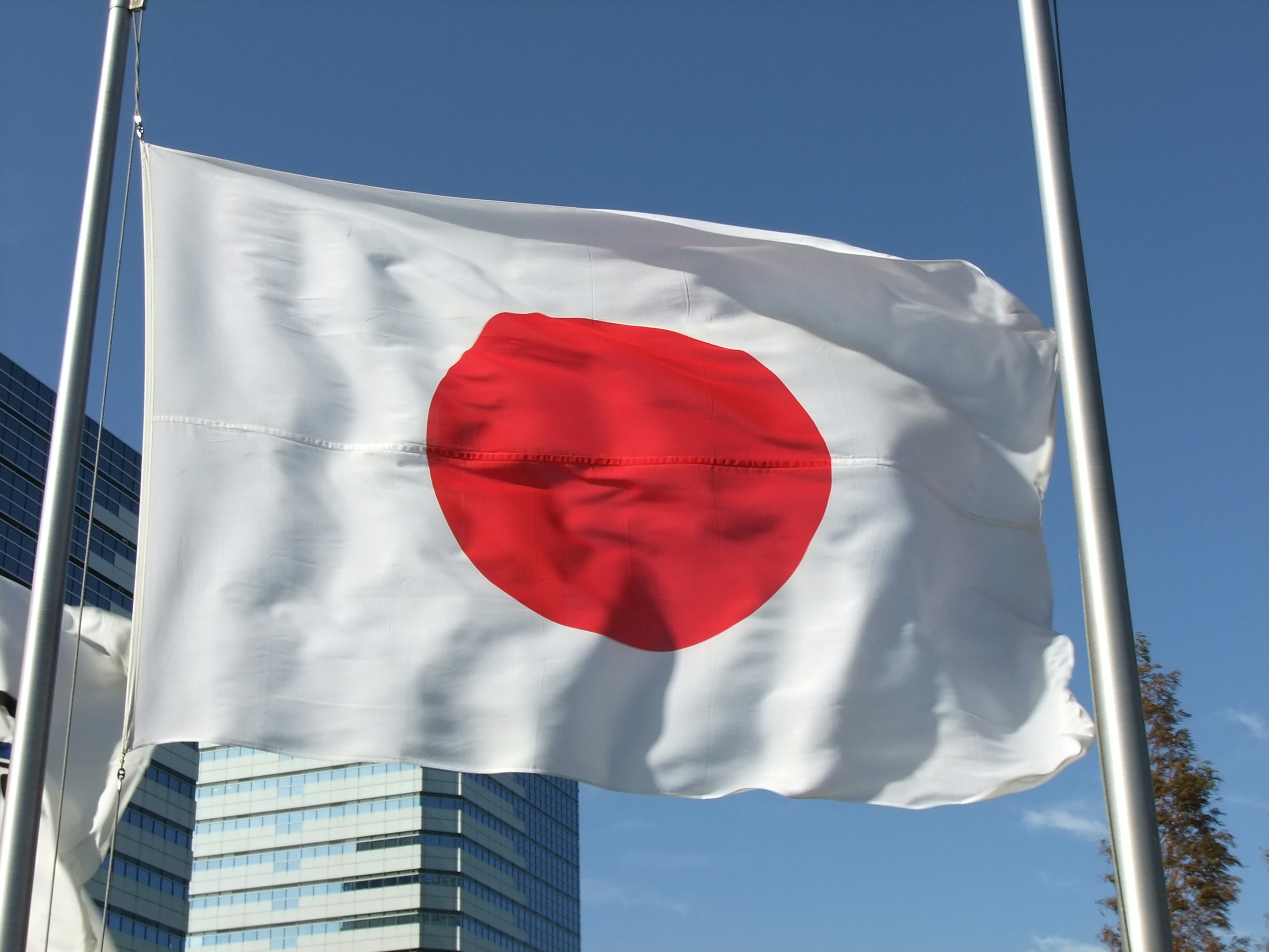 Flag_of_Japan_.jpg