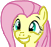 img-1632109-4-mlp-fgrin.png