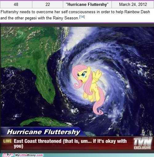 hurricane-fluttershy-my-little-pony-frie