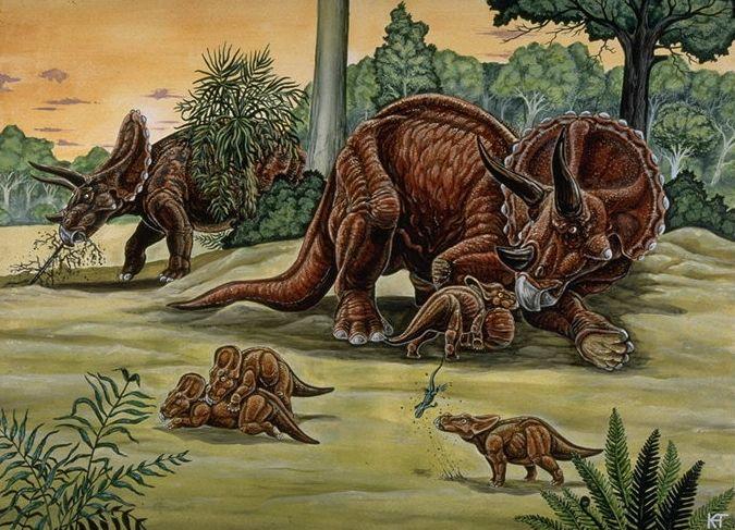 img-1857205-2-triceratops.jpg