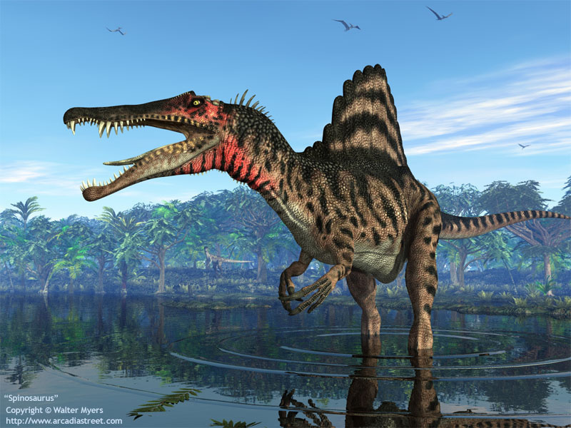 img-1867665-1-spinosaurus_800.jpg