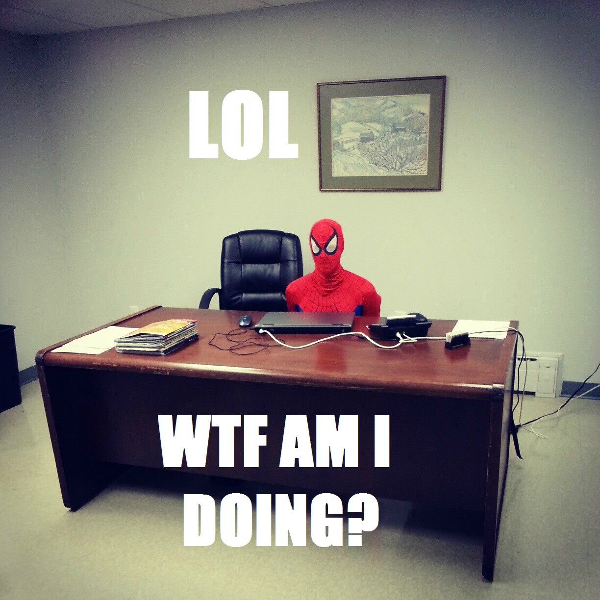 60s-spiderman-IRL-wtf-am-I-doing-1350553