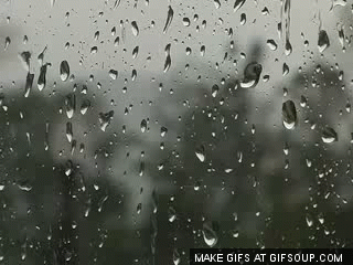 rainy-window-o.gif
