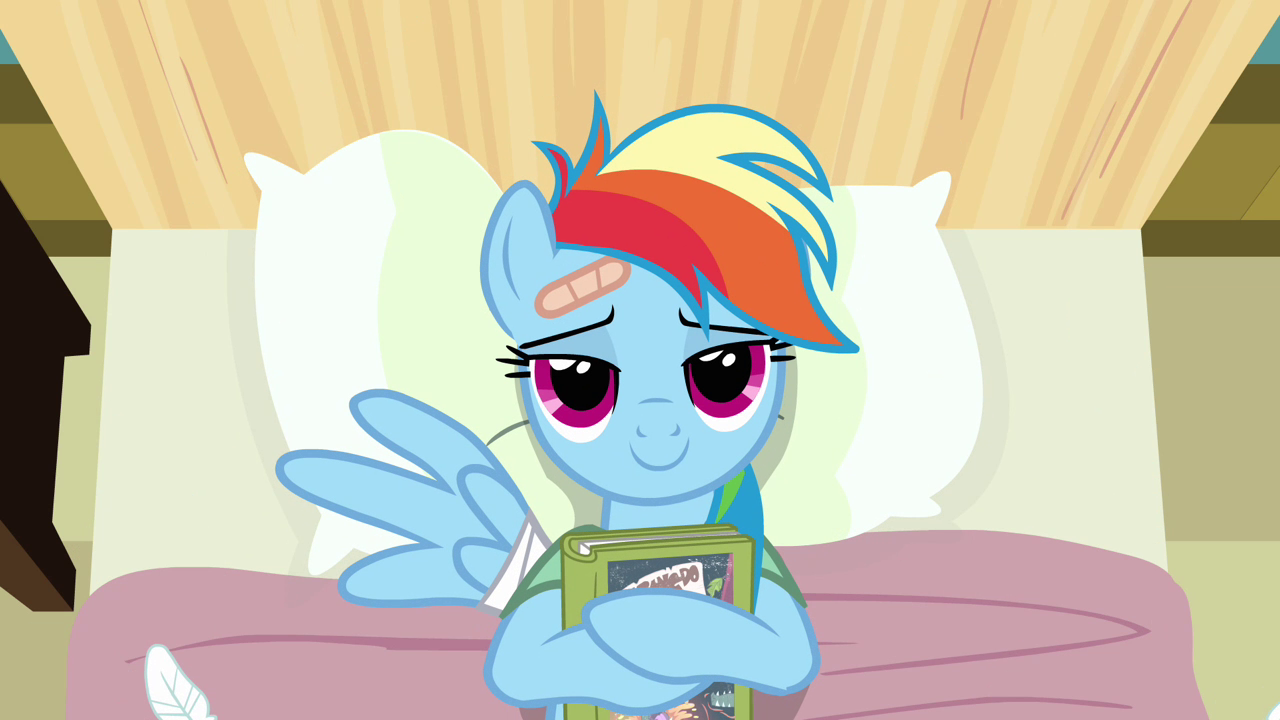 Rainbow_Dash_loves_reading_S02E16.png