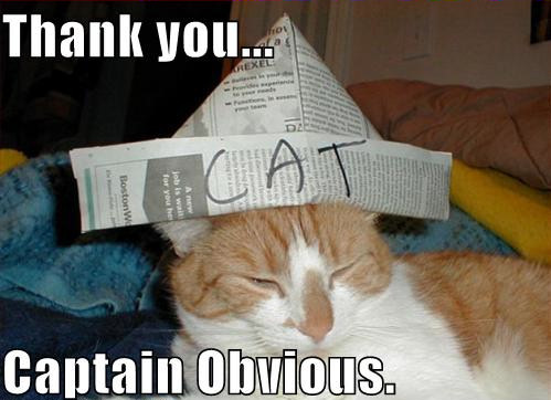 thank_you_captain_obvious_trollcat.jpg