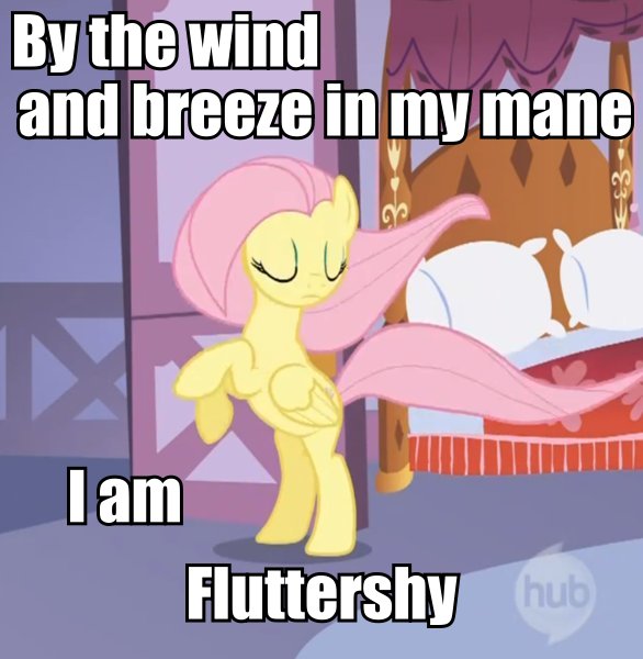 fluttershy%20by%20the%20wind%20and%20the