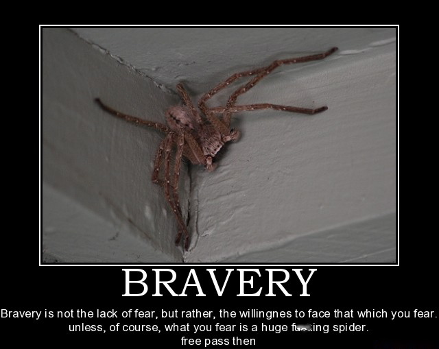 bravery.jpg