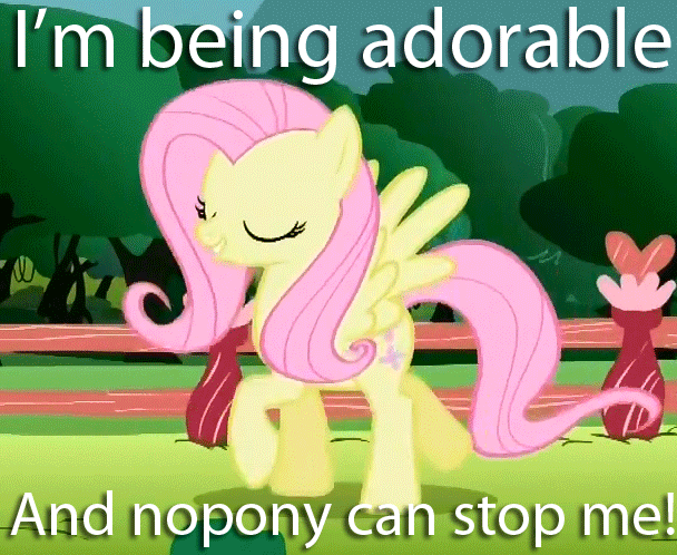 FANMADE_Adorable_Fluttershy.gif