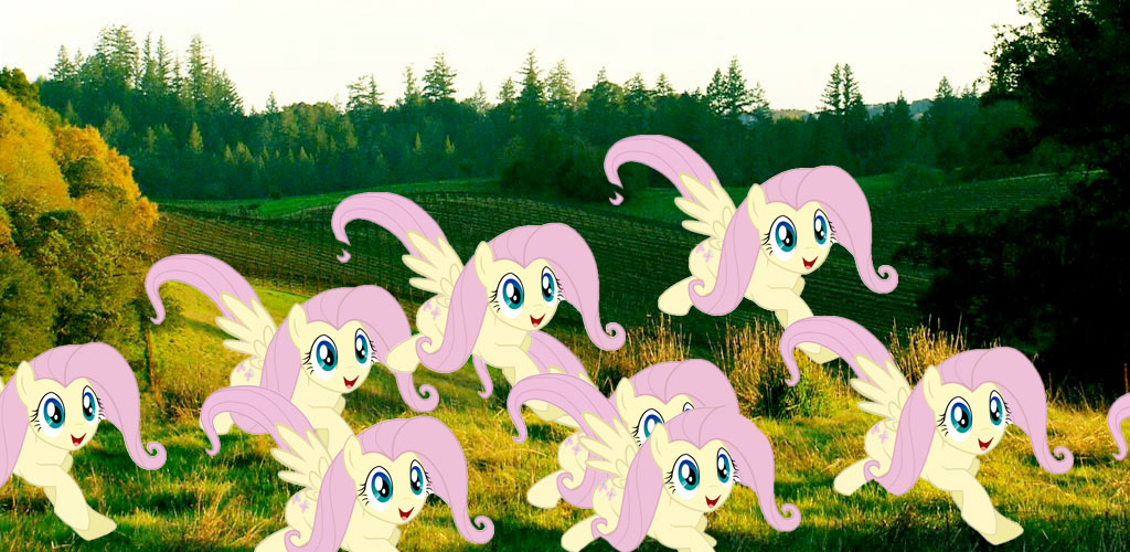 the+land+of+Fluttershy+clone+stamp.jpg