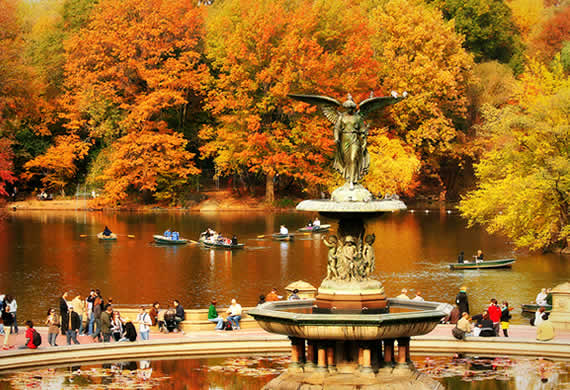 Fall-in-Central-Park-New-York-2.jpg