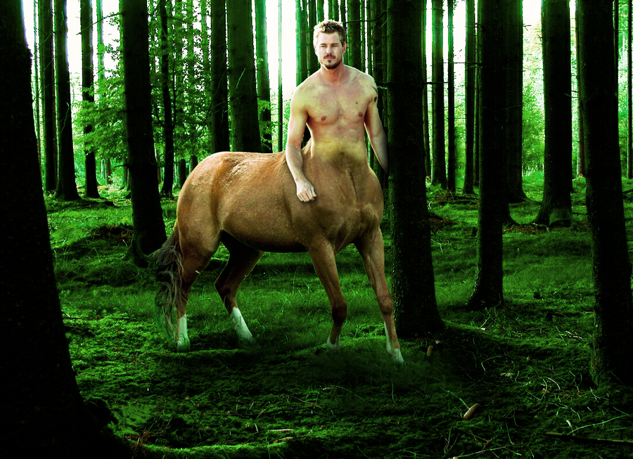 Centaur__The_Forest_Lord_by_equineRenais