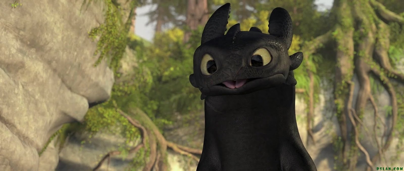 Toothless-how-to-train-your-dragon-DWA.j