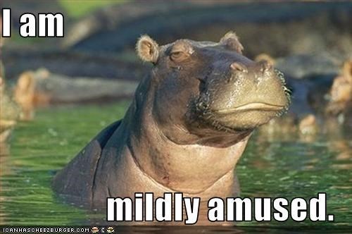 post-30342-I-am-mildly-amused-meme-hippo
