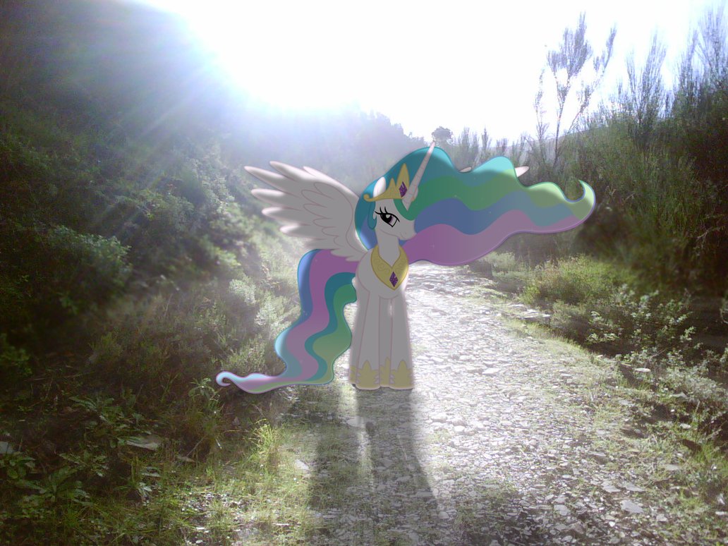 img-2656756-3-blessed_by_celestia_by_spa