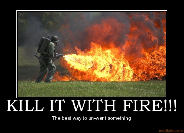 kill-it-with-fire-demotivational-poster-