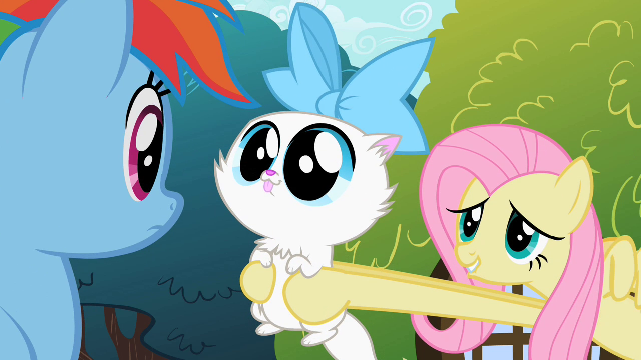 Fluttershy_showing_cat_to_Rainbow_Dash_S