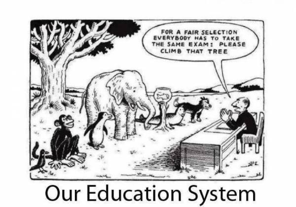 our-educational-system.jpg