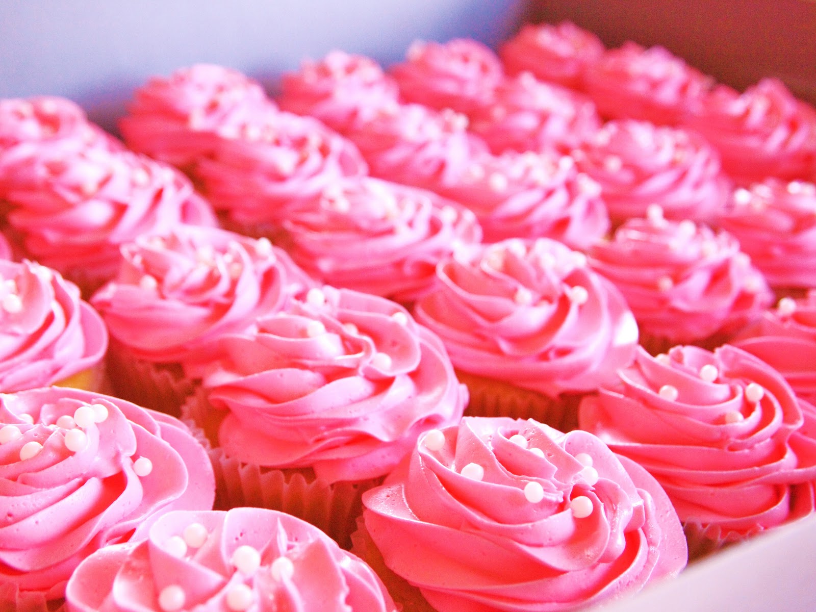 pretty_pink_cupcakes_pictures.jpg
