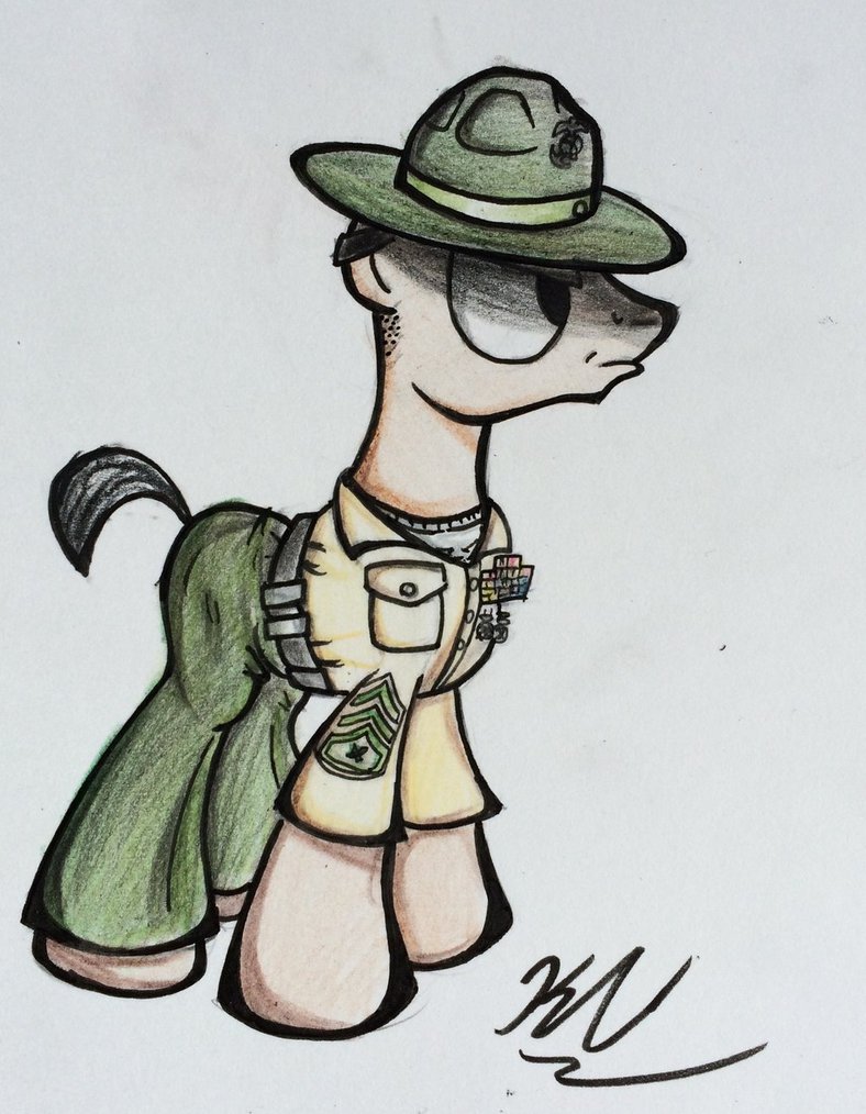 pony_drill_instructor_by_pelate-d80ecux.