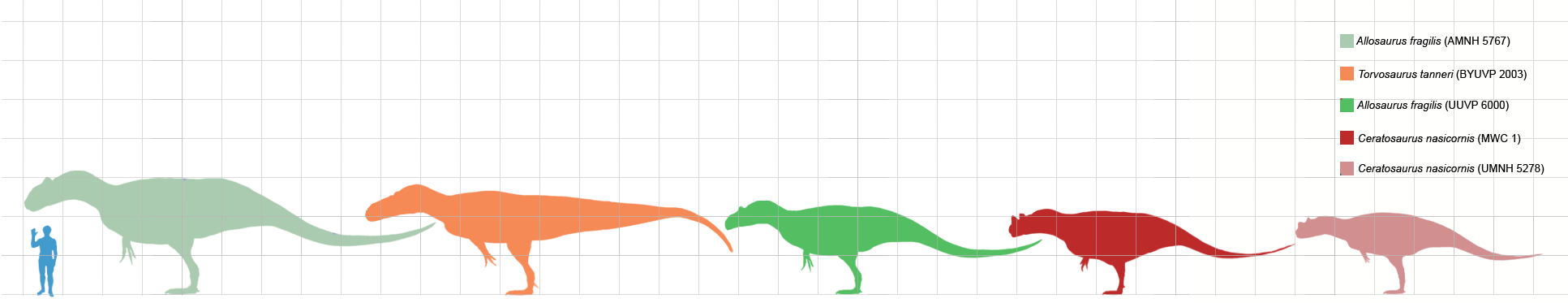 Morrison_theropods.png