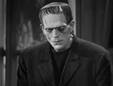 Frankensteins-Monster-in-Frankenstein-19
