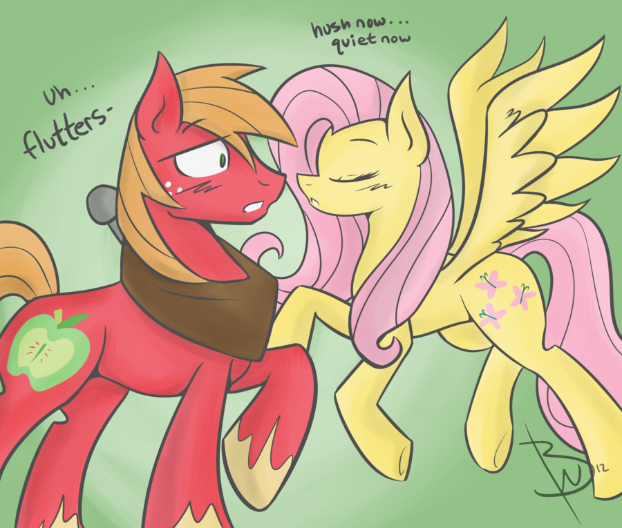 mlp_shipping_is_magic_fluttershy_and_big