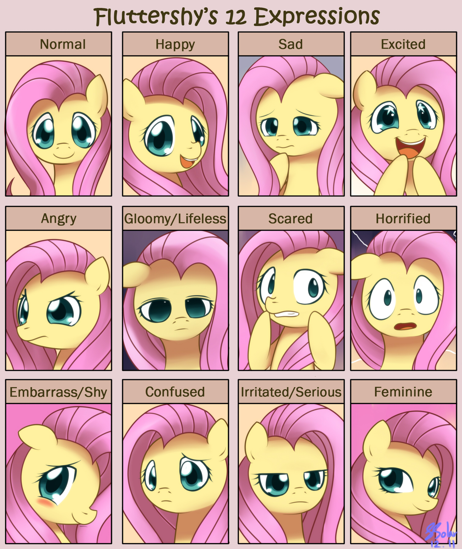 Fluttershy-s-12-Expressions-my-little-po