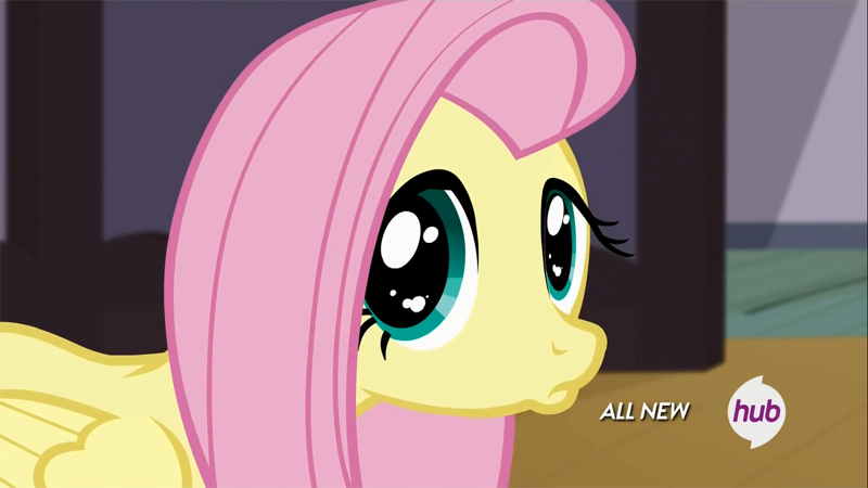 stopbeingcutefluttershy.png