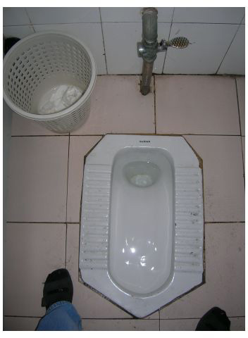 chinese-toilet1.jpg