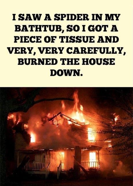 spider-burn-house-down.jpg