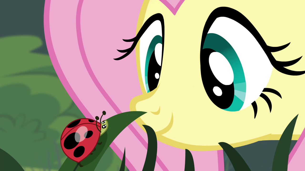 Fluttershy_looking_at_a_ladybug_S4E16.pn