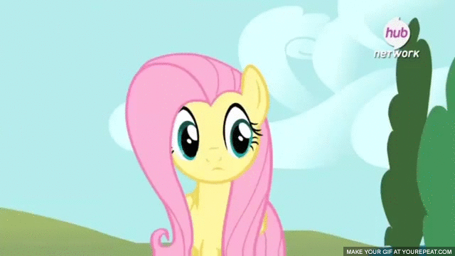 592812__safe_solo_fluttershy_animated_sc