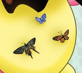 butterflypreview_zpswk9bxtxd.png