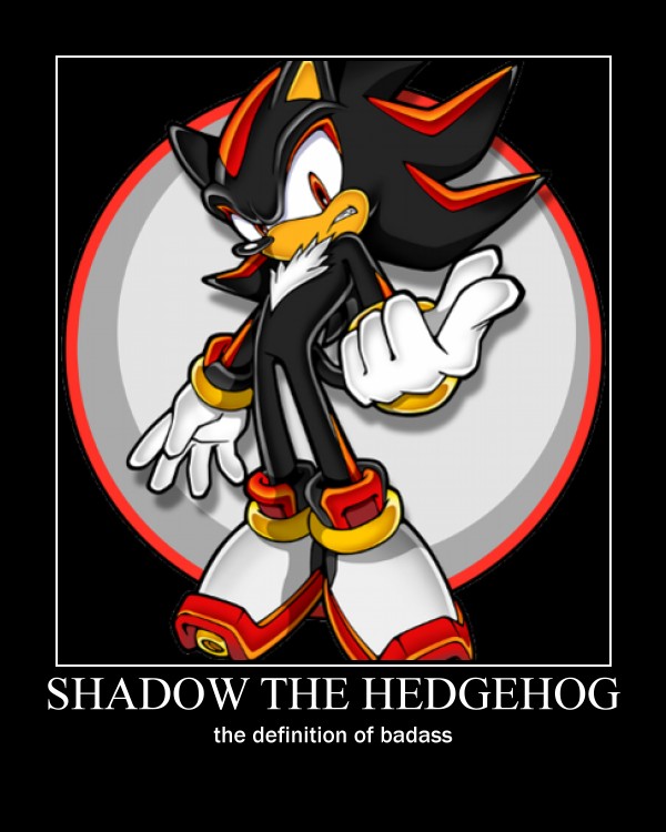 shadow_the_hedgehog_by_mrbucketguy-d4h03