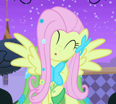 1797520-20animated20fluttershy20not.gif
