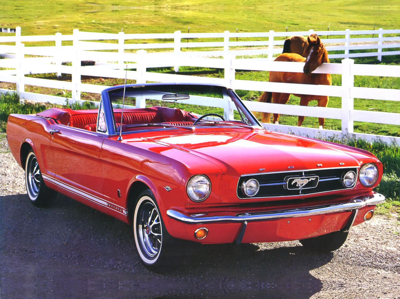 1965-Ford-Mustang-Convertible-Red-Rt-Frt. 