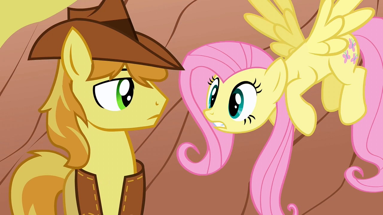 Braeburn_and_Fluttershy_S1E21.png